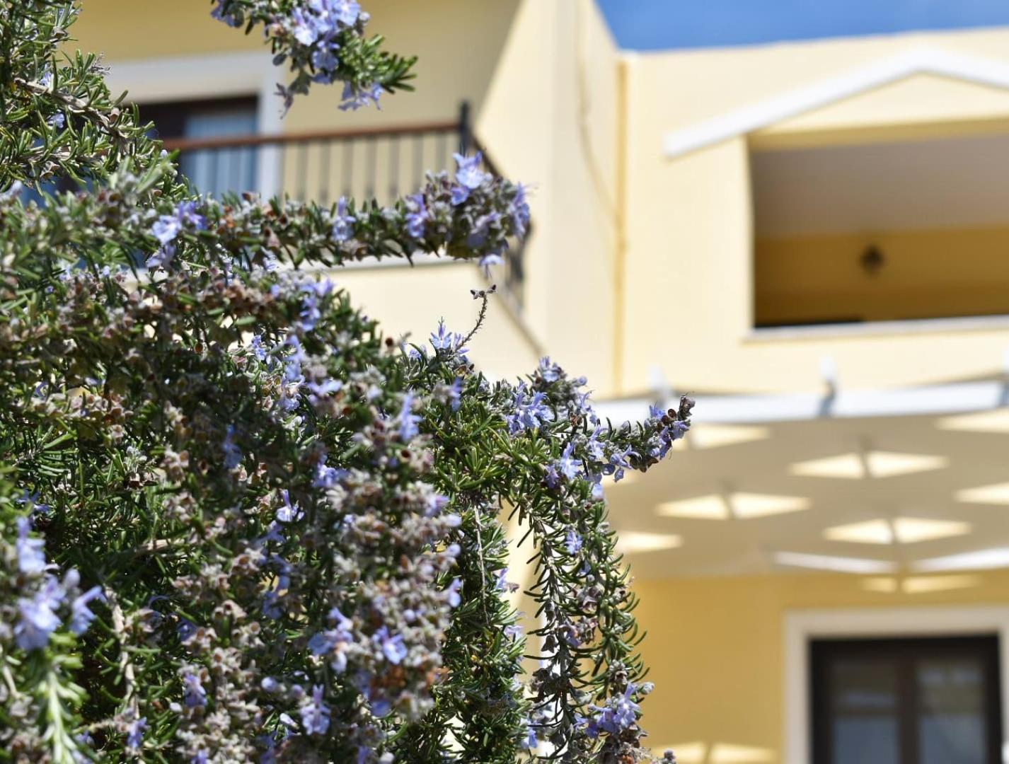 Anemi Superior Deluxe Suite Kolios Eksteriør billede